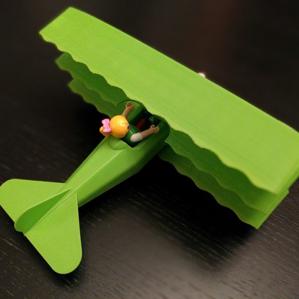 Thumbnail for Playmo triplane